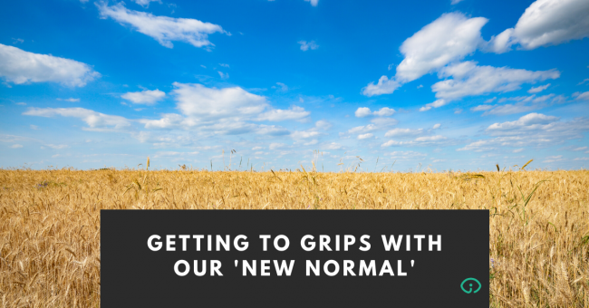 Copy of INSIGHT FINANCE SOLUTIONS BLOG HEADERS (16)