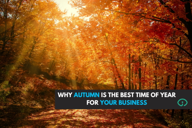 AUTUMN INSIGHT FINANCE