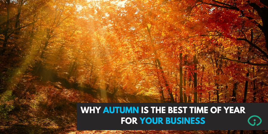 AUTUMN INSIGHT FINANCE