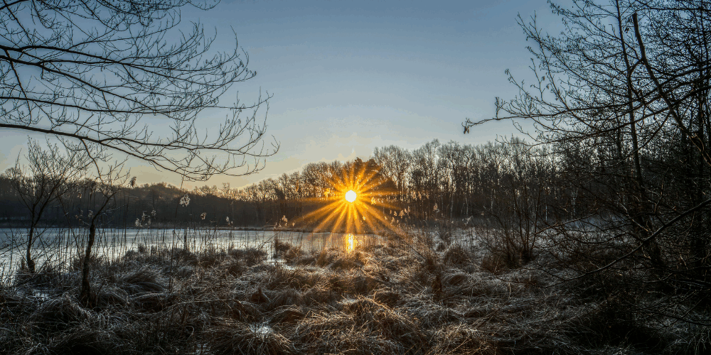 winter as business owners